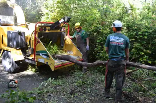 tree services Henderson